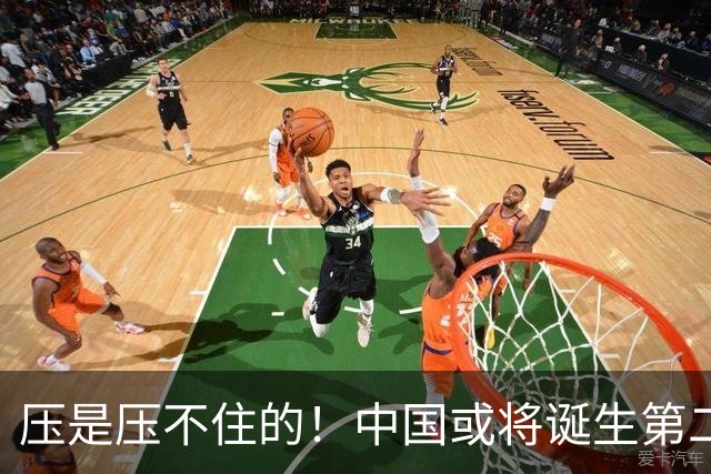 压是压不住的！中国或将诞生第二个华为