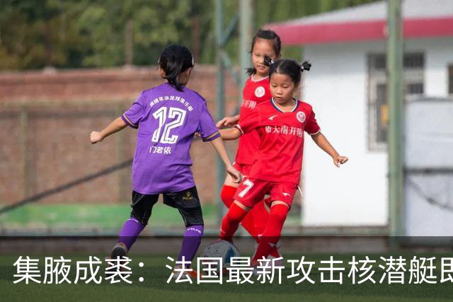 集腋成裘：法国最新攻击核潜艇即将下水 双管榴弹炮试验平台曝光